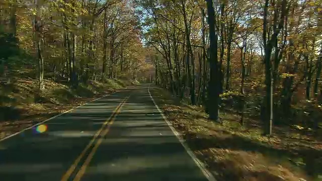 秋天穿过树林的乡村道路视频素材