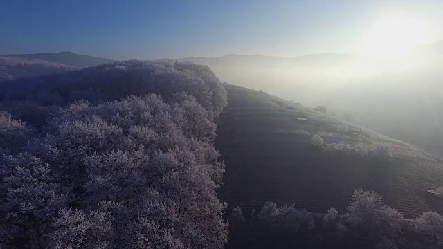 冬天的仙境在黑森林德国视频下载