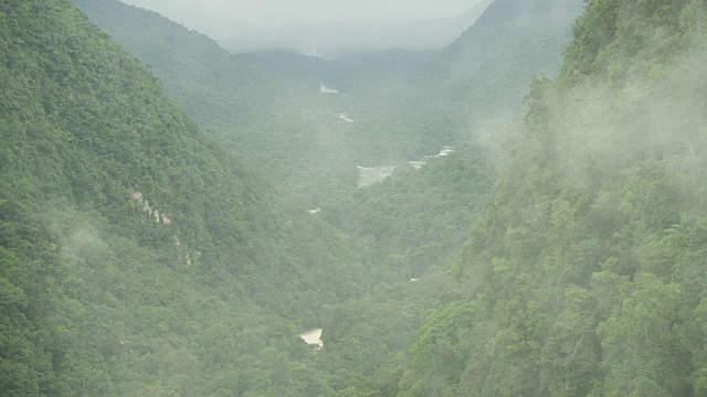 雾移动在热带雨林河谷的广泛镜头视频素材