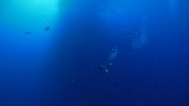 潜水员在海底峡谷视频素材