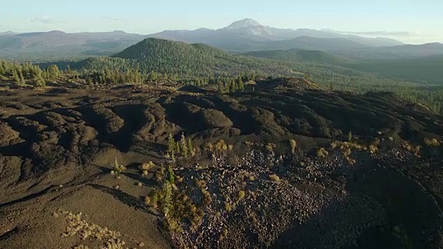 熔岩原野和常绿森林视频素材