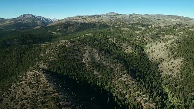 鸟谷部国家森林的丘陵景观视频素材