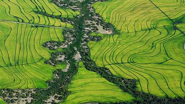 智利翠绿田野的鸟瞰图视频素材