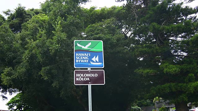 夏威夷考艾岛Koloa标志Holoholo Koloa沿着夏威夷风景旁路4K高速公路视频素材