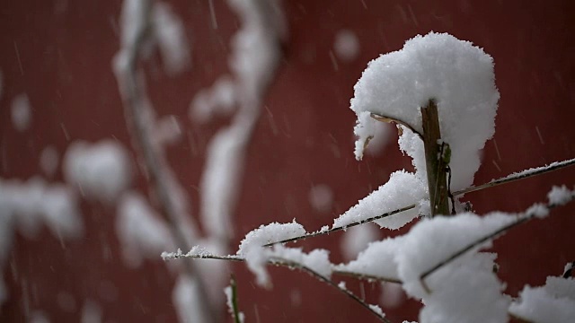 雪和寒冷视频素材