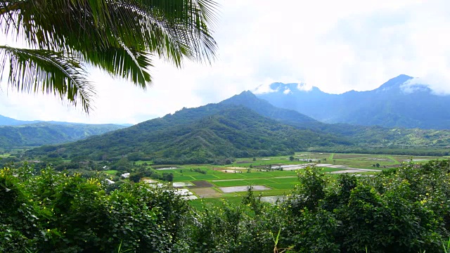 哈纳莱伊考艾夏威夷风景哈纳莱伊山谷观景台在普林斯维尔北岸4K视频素材