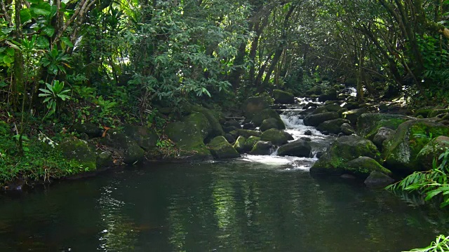 夏威夷考艾岛海纳州立公园热带雨林北岸瀑布流4K视频素材