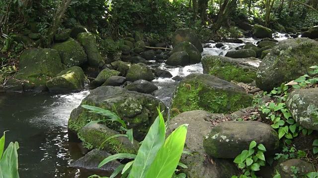 夏威夷考艾岛海纳州立公园热带雨林北岸瀑布流4K视频素材