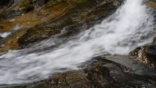 瀑布在山间，春意盎然视频下载