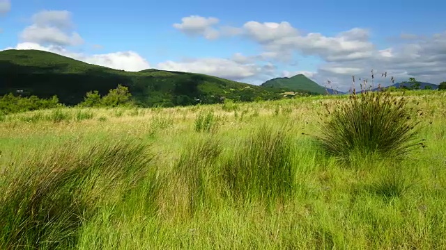 Urdaibai生物圈保护区视频素材