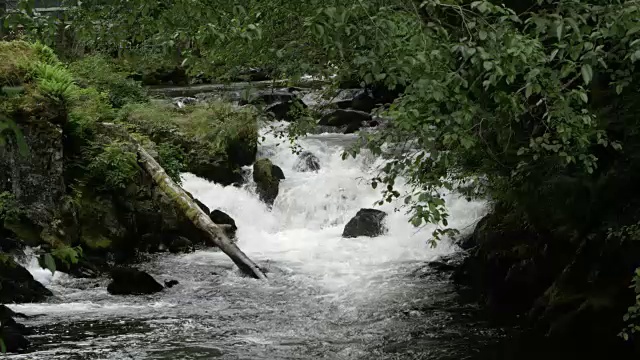 透过树木的水瀑布下的河流视频素材