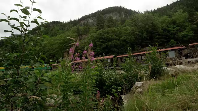 一列火车穿过阿拉斯加荒野的全景视频素材