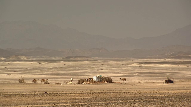 在埃及东南部沙漠的一个小贝都因人营地的长镜头序列。视频素材