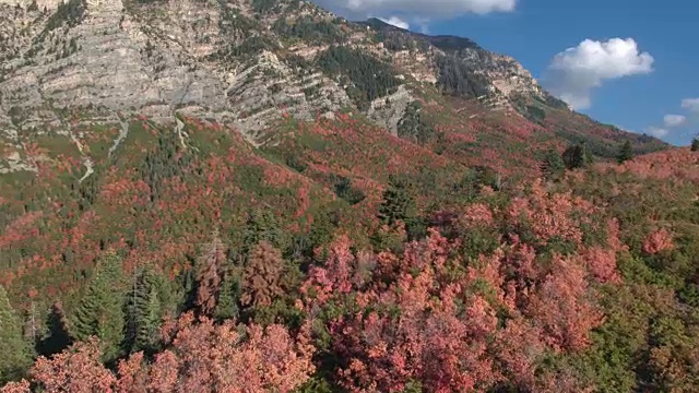 鸟瞰图的彩色树叶横跨山脉视频素材