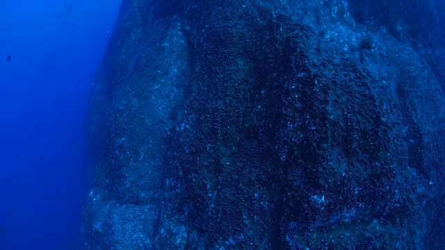 海底顶峰视频素材