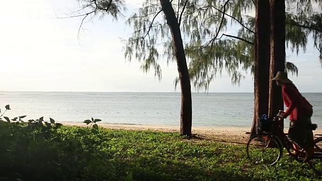 一对夫妇骑着自行车穿过树叶，望向大海视频素材