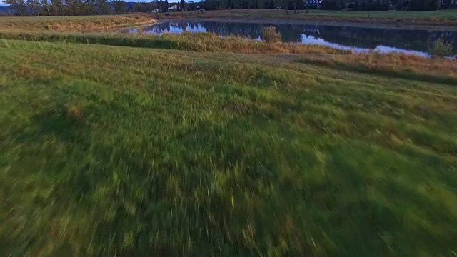 湖空中视频素材