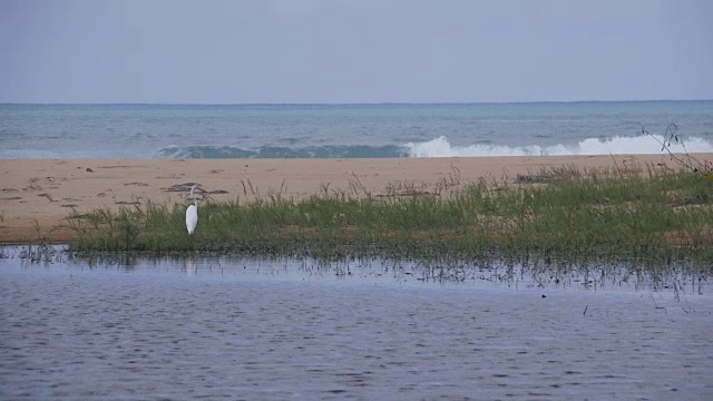 起重机在海滩待命视频素材