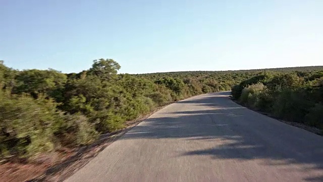 司机POV -正常速度驾驶/空道路-部分6:铺好的道路/灌木丛/阴影视频素材