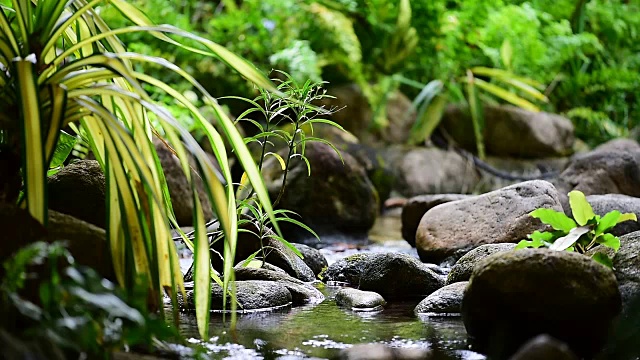 小河流视频下载