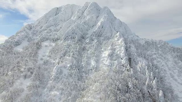 在加泰罗尼亚地区，一场暴风雪过后，一架无人机在蒙特塞尼山自然保护区上空拍摄到了令人惊叹的雪树。4 k UHD。视频素材