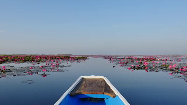 泰国粉莲湖游船之旅。视频素材