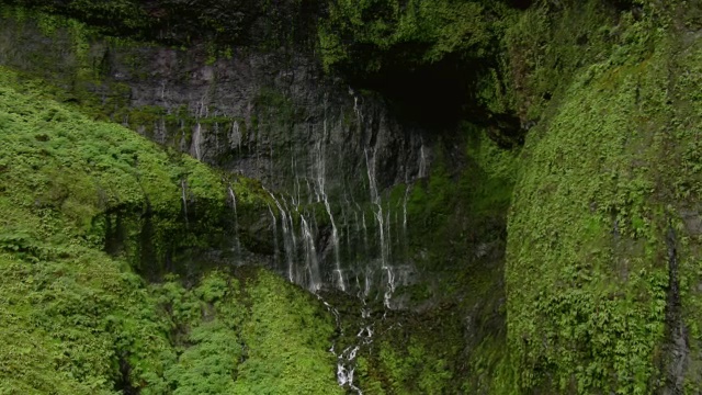 郁郁葱葱的山腰鸟瞰图与瀑布附近的Waialeale山在夏威夷考艾岛。视频素材