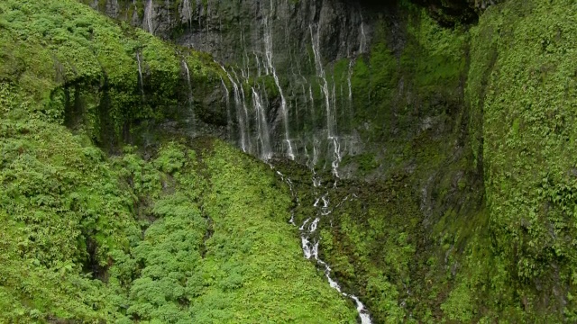 郁郁葱葱的山腰鸟瞰图与瀑布附近的Waialeale山在夏威夷考艾岛。视频素材