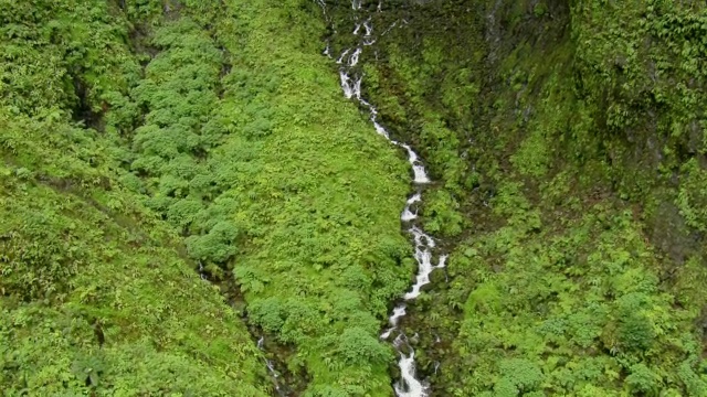 鸟瞰图郁郁葱葱的山瀑布附近的Waialeale山在夏威夷考艾岛。视频素材