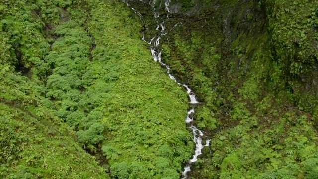 鸟瞰图瀑布在一个郁郁葱葱的山腰附近的怀亚莱山在夏威夷考艾岛。视频素材