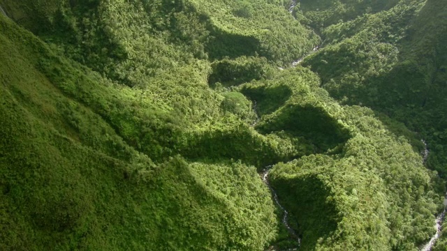 鸟瞰图的河流流经风景秀丽的山谷在太平洋岛屿考艾岛，夏威夷。视频素材