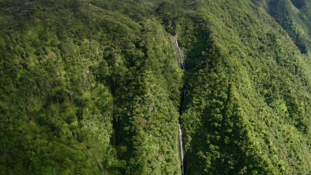 鸟瞰图瀑布陡峭的山坡在夏威夷考艾岛郁郁葱葱。视频素材