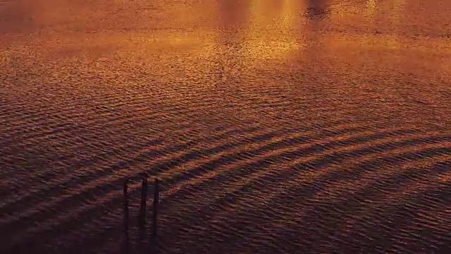 高清:夏天的河流视频素材