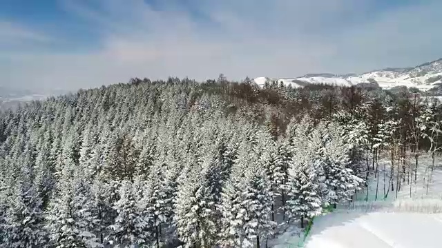 被雪覆盖的大墙岭(韩国东部大白山的一个山口)视频素材