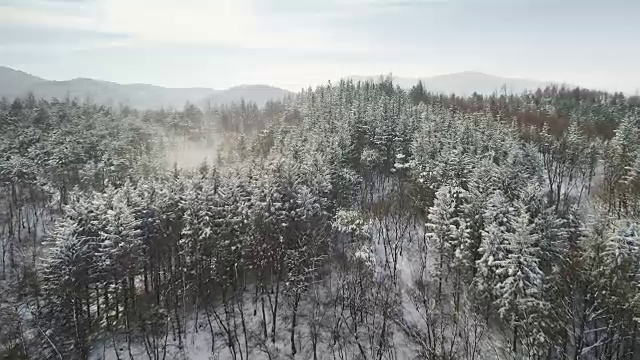 被雪覆盖的大墙岭(韩国东部大白山的一个山口)视频素材