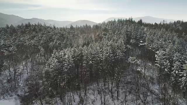 被雪覆盖的大墙岭(韩国东部大白山的一个山口)视频素材