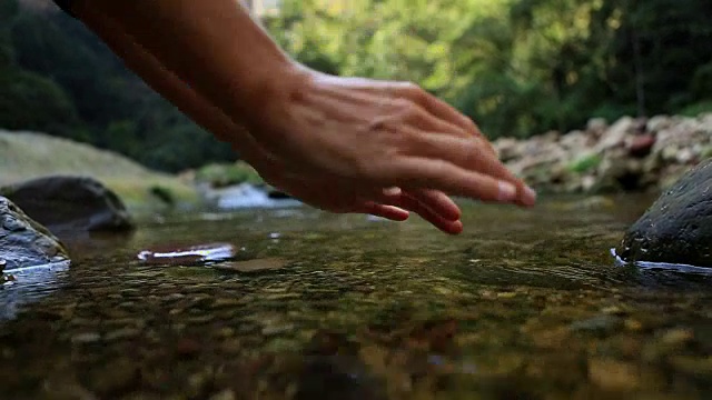 用手从河里抓淡水视频素材