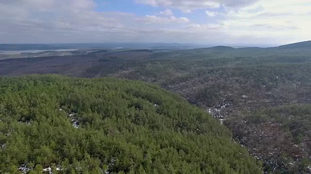 从空中飞过森林视频下载