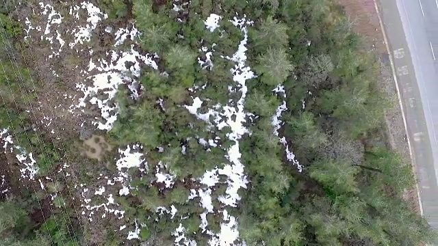 航拍:森林附近的高速公路视频素材