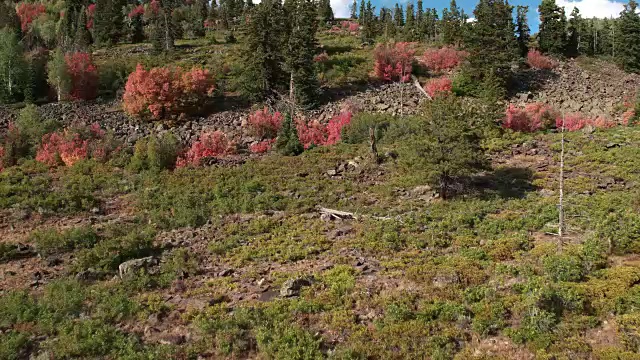 慢慢地飞过森林，爬上岩石山视频素材