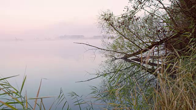 一个雾蒙蒙的湖视频素材