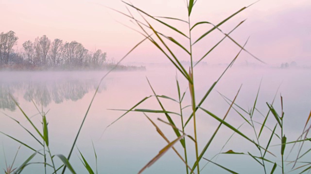 雾中的湖泊视频素材