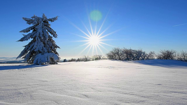 冬季景观有针叶树和太阳风吹雪，罗仁山视频素材