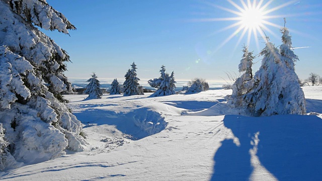 冬季景观有针叶树和太阳风吹雪，罗仁山视频素材