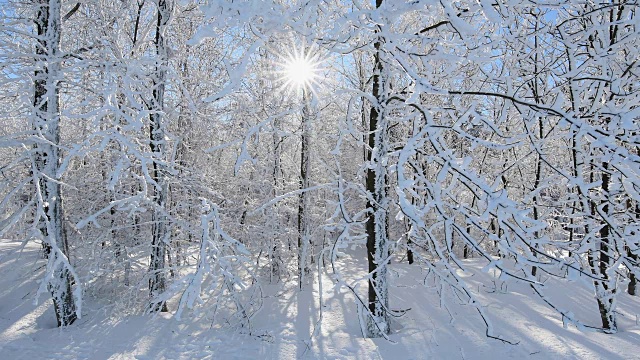 阳光在雪地里照耀，罗恩山视频素材