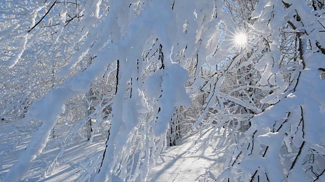 阳光在雪地里照耀，罗恩山视频素材