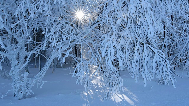 阳光在雪地里照耀，罗恩山视频素材