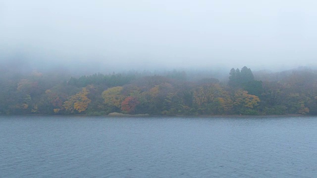 日本神奈川县箱根市顺之子湖的秋天视频素材