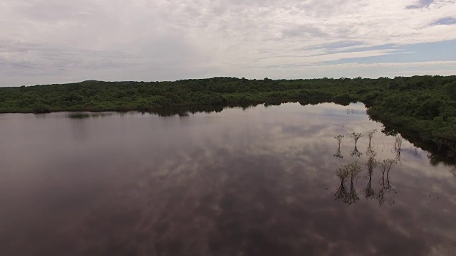 鸟瞰图的湖在塞拉多地区-戈亚斯，巴西视频素材