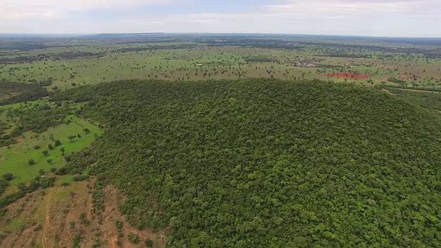 鸟瞰图湿地在塞拉多地区-戈亚斯，巴西视频素材